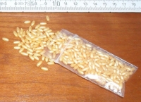 Rijstekorrel goudgeel. 250 gram.